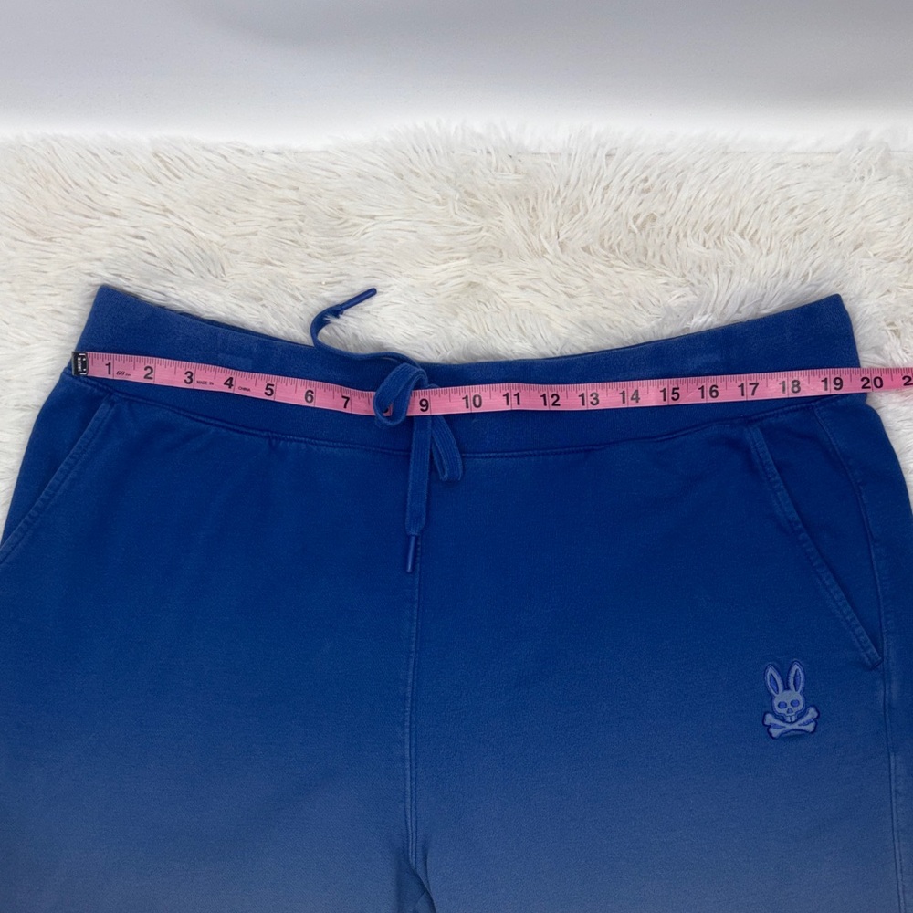 Psycho Bunny Men’s XXL Shorts - Picture 6 of 11